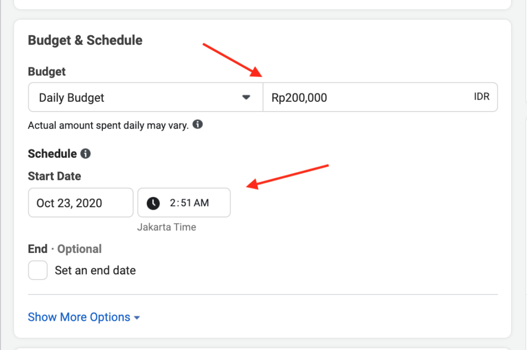Set a daily budget at 10USD (or an equivalent of your local currency), Schedule the start date for the next day at 12:00AM. Scroll down when done.