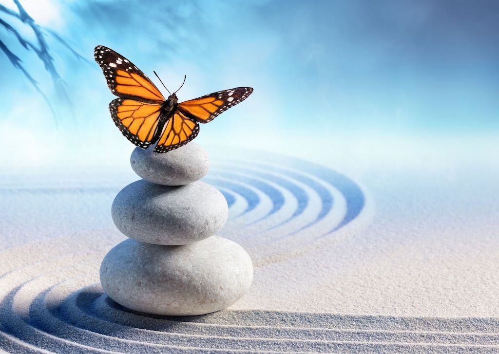 Mindfulness vs Transcendental Meditation​